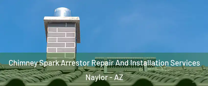 Chimney Spark Arrestor Repair And Installation Services Naylor - AZ