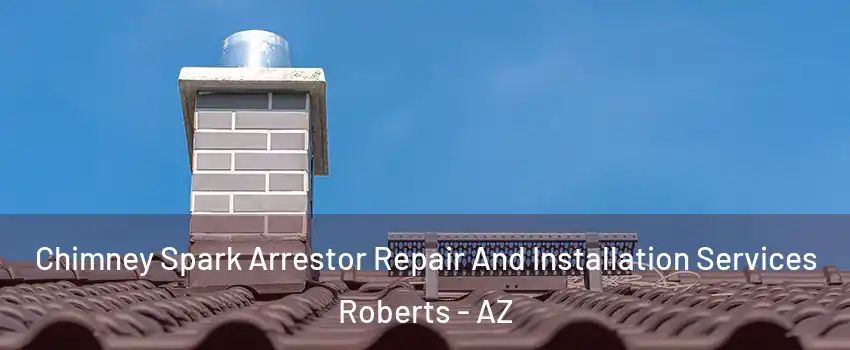 Chimney Spark Arrestor Repair And Installation Services Roberts - AZ