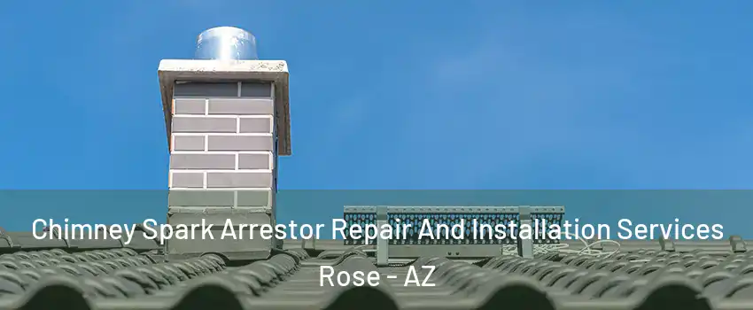 Chimney Spark Arrestor Repair And Installation Services Rose - AZ