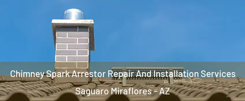 Chimney Spark Arrestor Repair And Installation Services Saguaro Miraflores - AZ