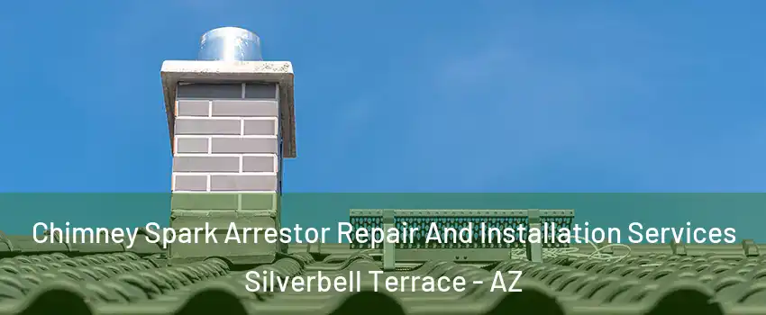Chimney Spark Arrestor Repair And Installation Services Silverbell Terrace - AZ