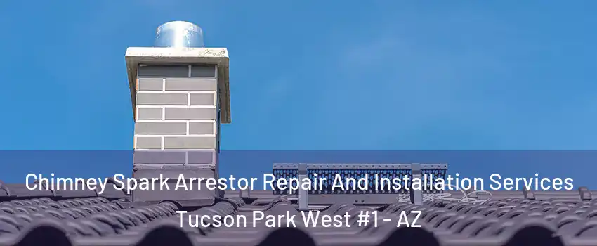 Chimney Spark Arrestor Repair And Installation Services Tucson Park West #1 - AZ