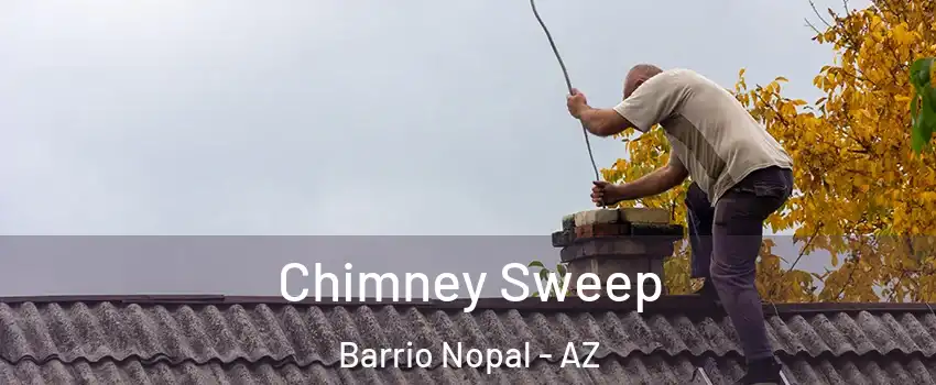 Chimney Sweep Barrio Nopal - AZ
