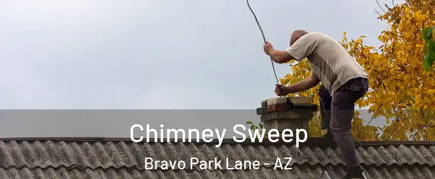 Chimney Sweep Bravo Park Lane - AZ