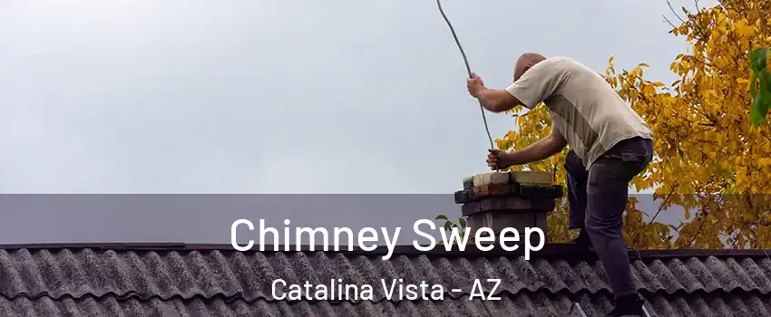 Chimney Sweep Catalina Vista - AZ