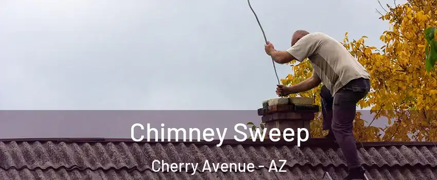 Chimney Sweep Cherry Avenue - AZ