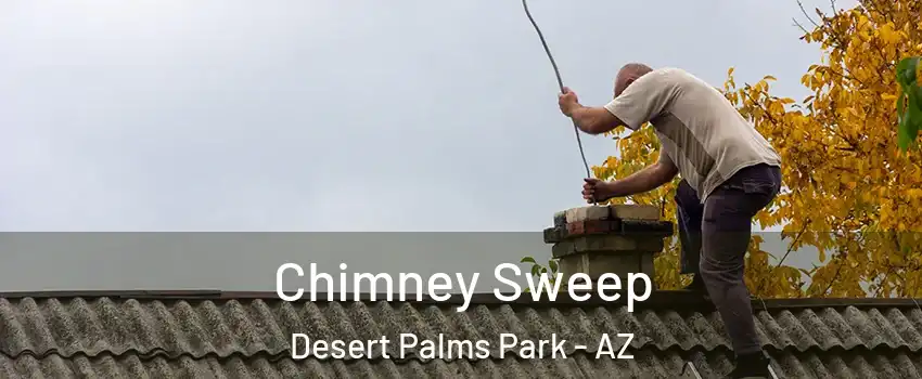 Chimney Sweep Desert Palms Park - AZ