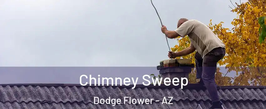 Chimney Sweep Dodge Flower - AZ