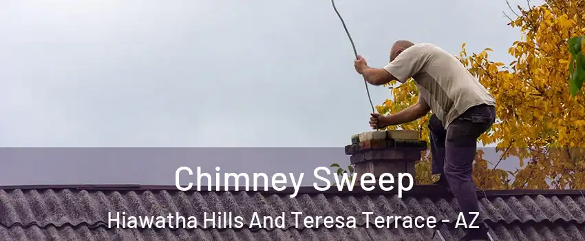Chimney Sweep Hiawatha Hills And Teresa Terrace - AZ