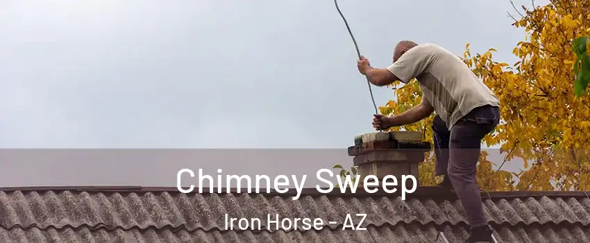 Chimney Sweep Iron Horse - AZ