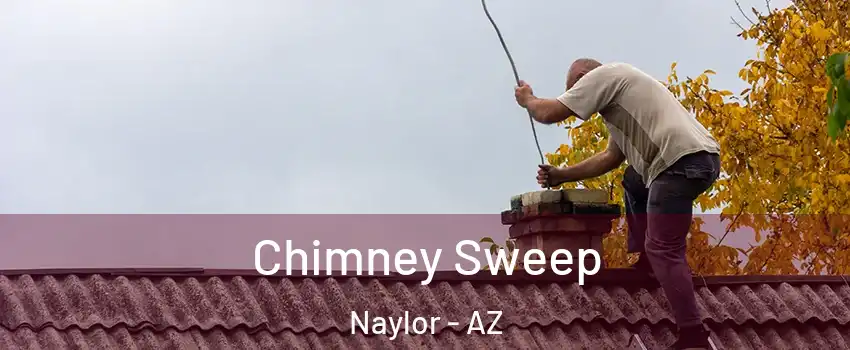 Chimney Sweep Naylor - AZ