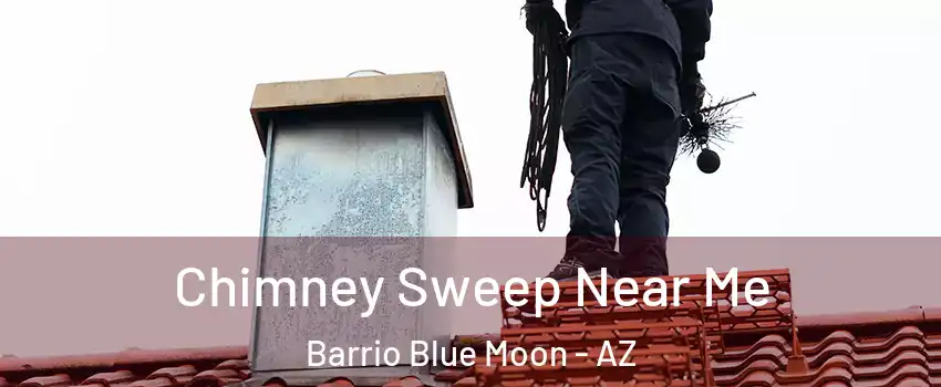 Chimney Sweep Near Me Barrio Blue Moon - AZ
