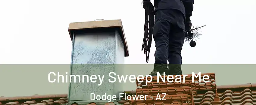 Chimney Sweep Near Me Dodge Flower - AZ