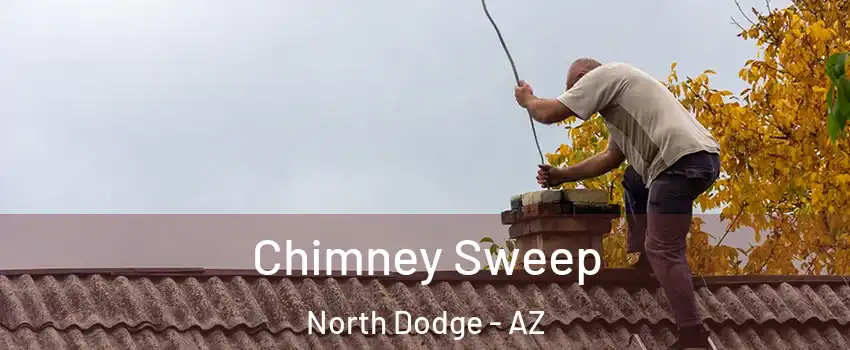 Chimney Sweep North Dodge - AZ