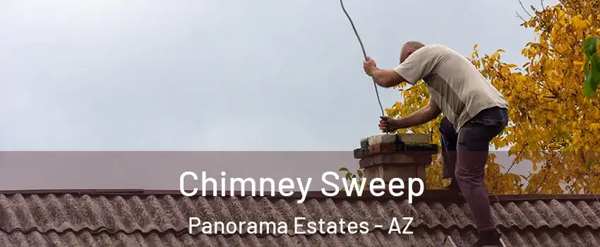 Chimney Sweep Panorama Estates - AZ