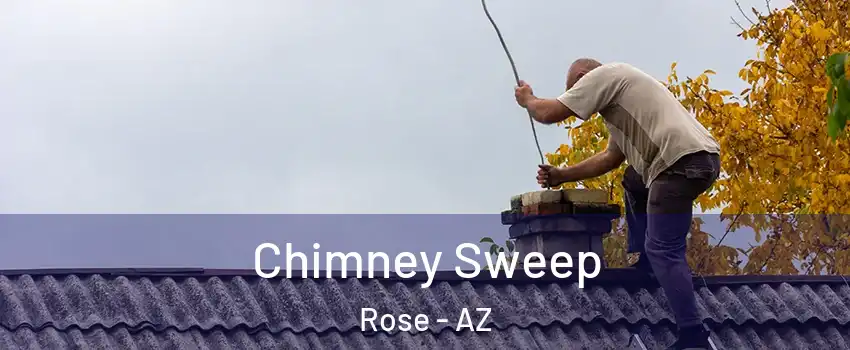 Chimney Sweep Rose - AZ