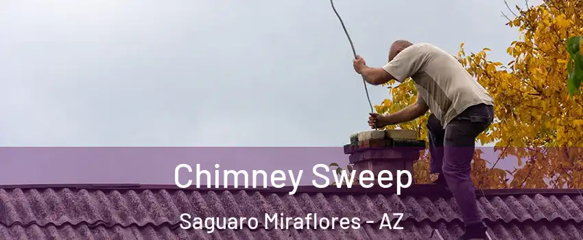 Chimney Sweep Saguaro Miraflores - AZ