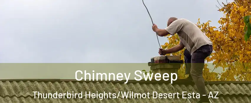 Chimney Sweep Thunderbird Heights/Wilmot Desert Esta - AZ