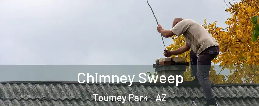 Chimney Sweep Toumey Park - AZ