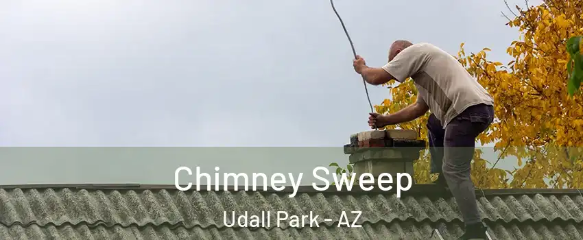 Chimney Sweep Udall Park - AZ