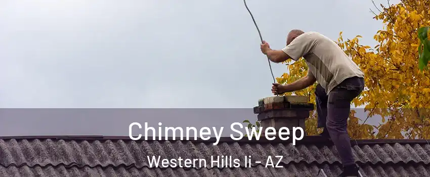 Chimney Sweep Western Hills Ii - AZ