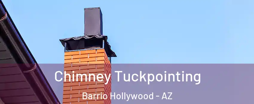 Chimney Tuckpointing Barrio Hollywood - AZ