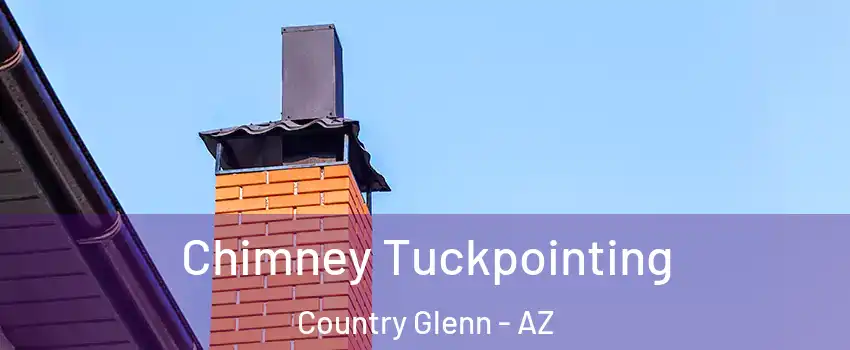 Chimney Tuckpointing Country Glenn - AZ