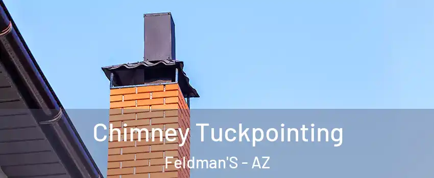 Chimney Tuckpointing Feldman'S - AZ