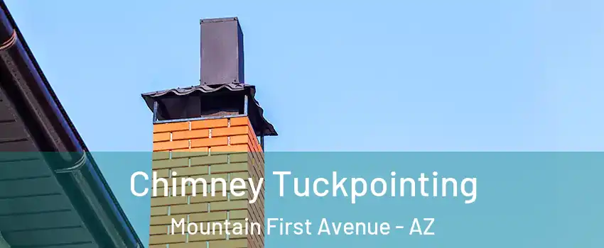 Chimney Tuckpointing Mountain First Avenue - AZ