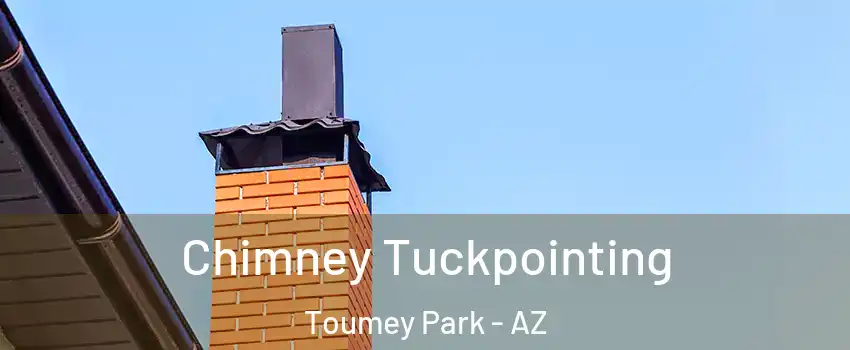 Chimney Tuckpointing Toumey Park - AZ