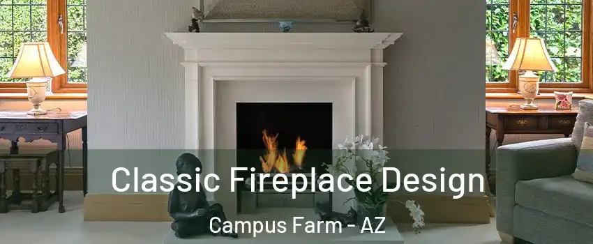 Classic Fireplace Design Campus Farm - AZ