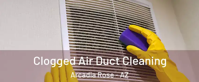 Clogged Air Duct Cleaning Arcadia Rose - AZ