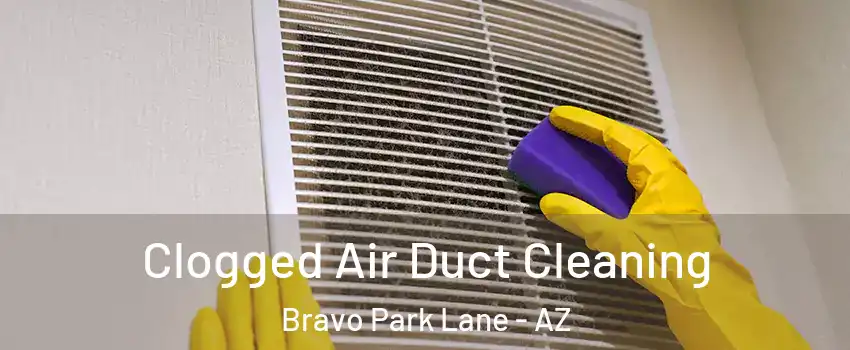 Clogged Air Duct Cleaning Bravo Park Lane - AZ