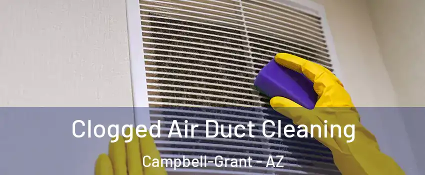 Clogged Air Duct Cleaning Campbell-Grant - AZ