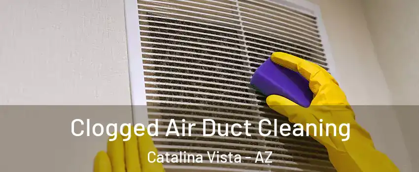 Clogged Air Duct Cleaning Catalina Vista - AZ