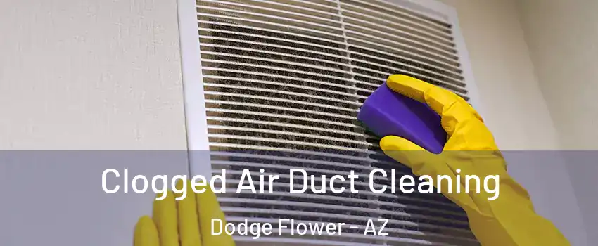 Clogged Air Duct Cleaning Dodge Flower - AZ