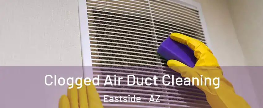 Clogged Air Duct Cleaning Eastside - AZ