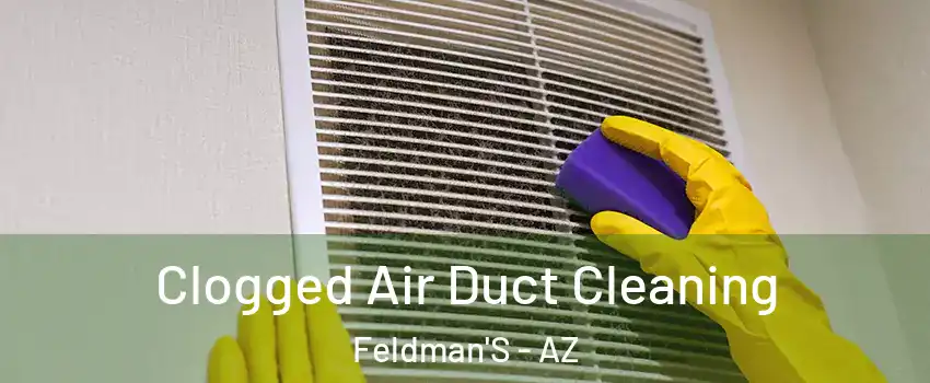 Clogged Air Duct Cleaning Feldman'S - AZ