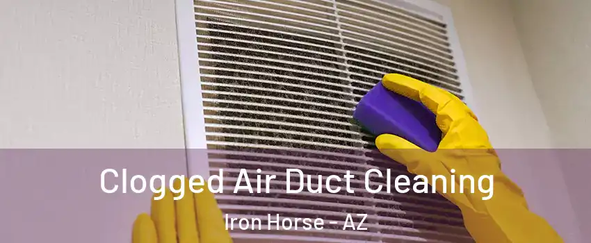 Clogged Air Duct Cleaning Iron Horse - AZ