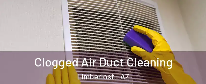 Clogged Air Duct Cleaning Limberlost - AZ