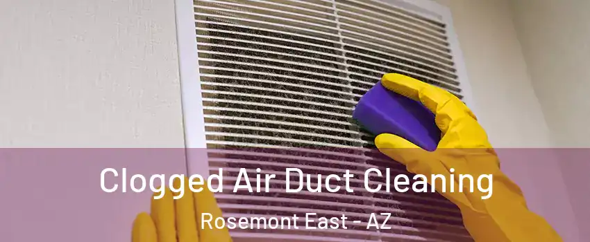 Clogged Air Duct Cleaning Rosemont East - AZ