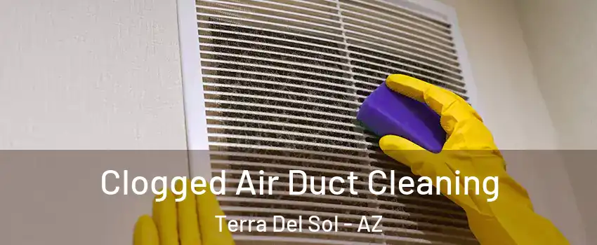 Clogged Air Duct Cleaning Terra Del Sol - AZ