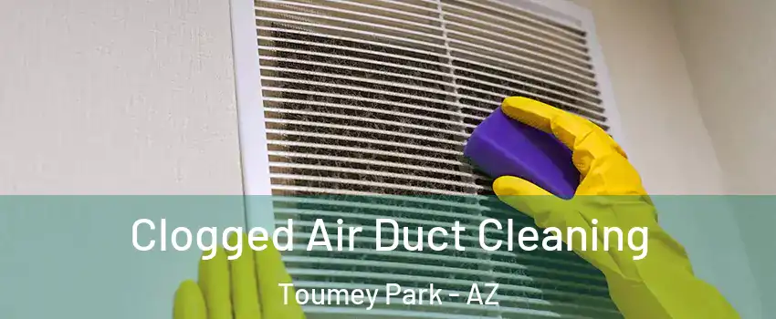 Clogged Air Duct Cleaning Toumey Park - AZ