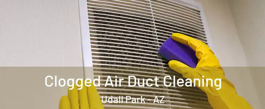 Clogged Air Duct Cleaning Udall Park - AZ
