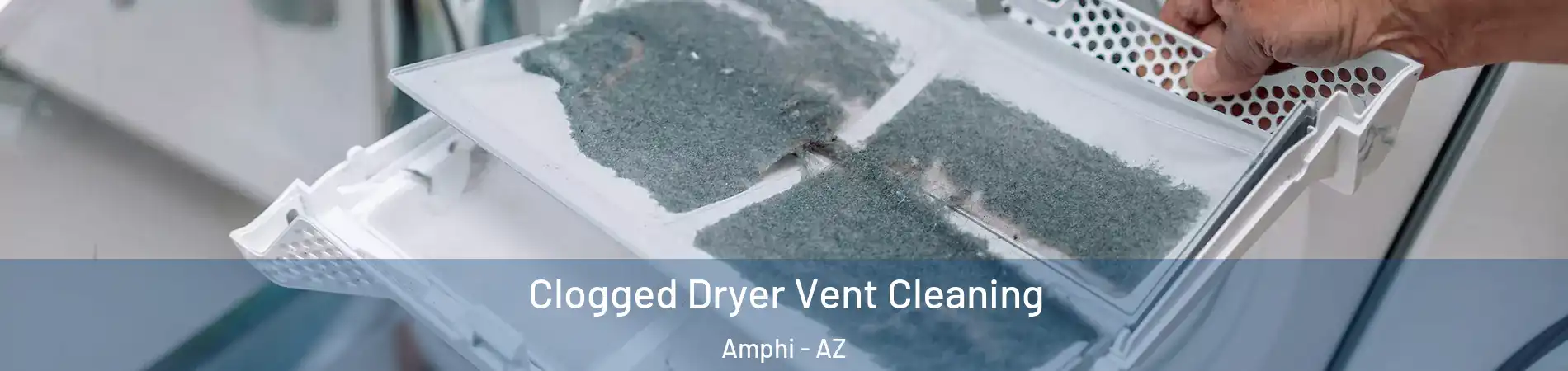 Clogged Dryer Vent Cleaning Amphi - AZ