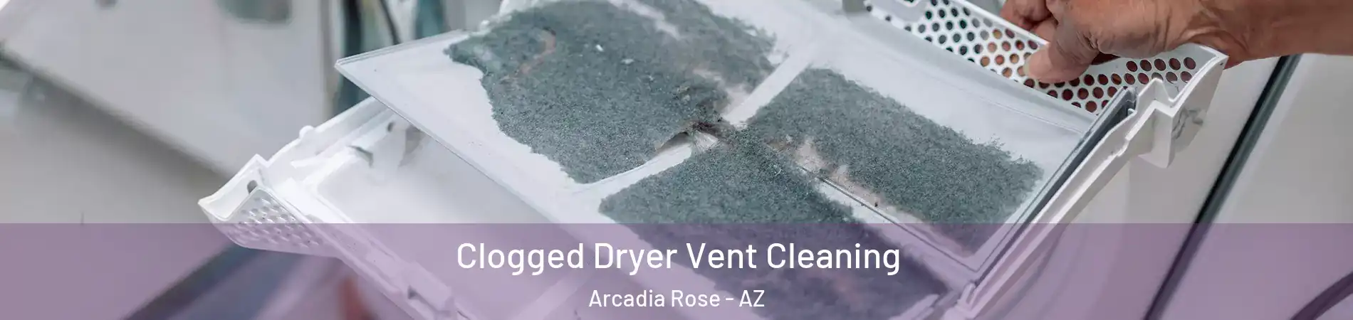 Clogged Dryer Vent Cleaning Arcadia Rose - AZ
