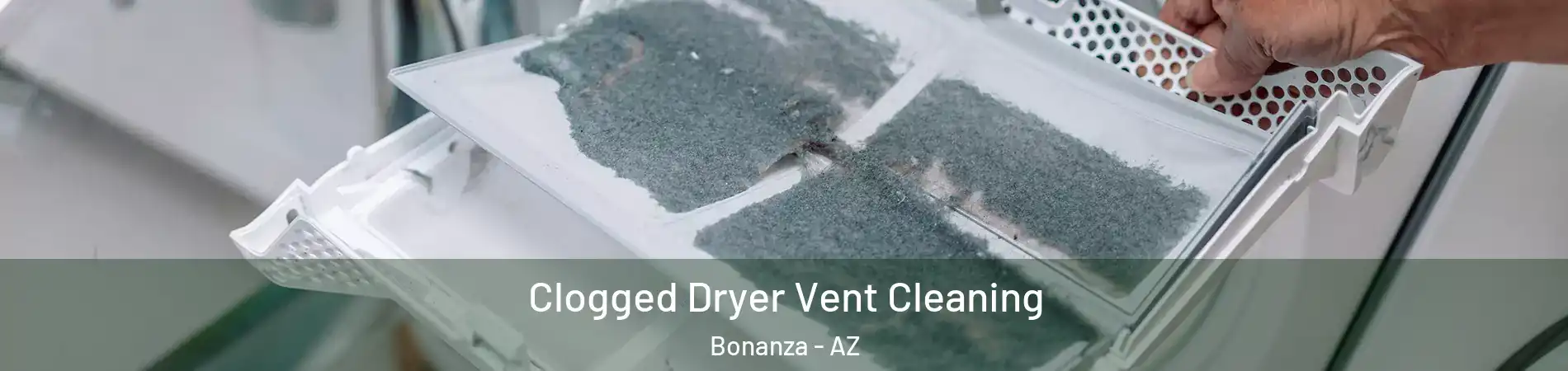 Clogged Dryer Vent Cleaning Bonanza - AZ