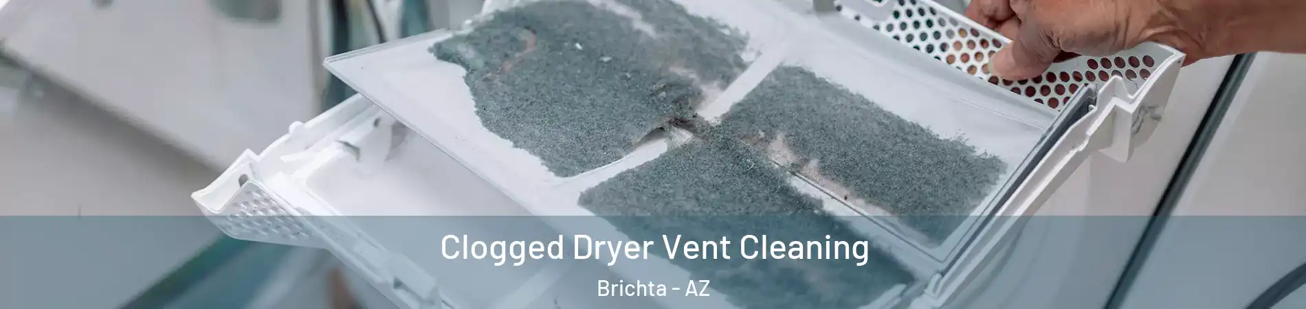 Clogged Dryer Vent Cleaning Brichta - AZ