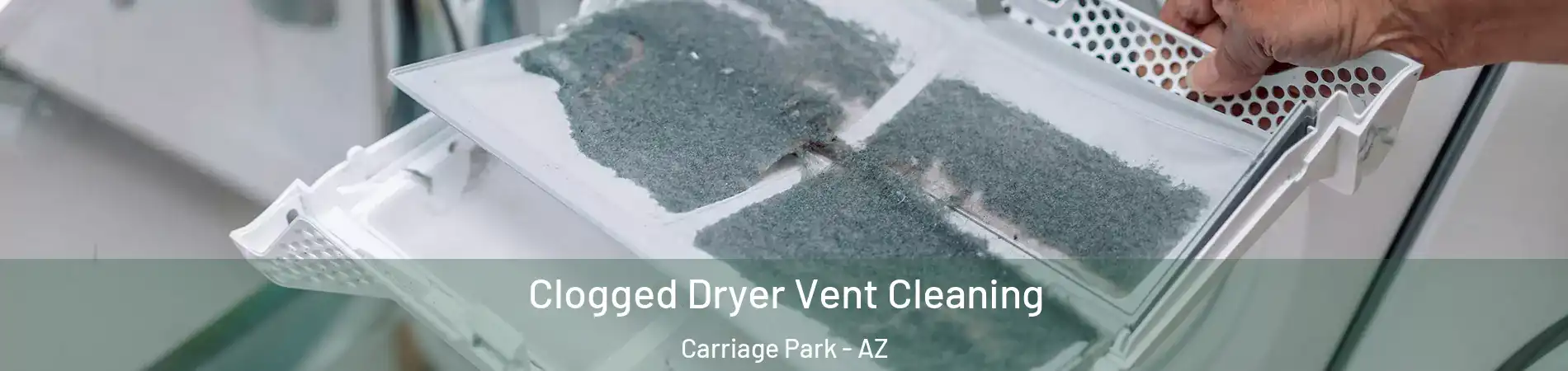 Clogged Dryer Vent Cleaning Carriage Park - AZ
