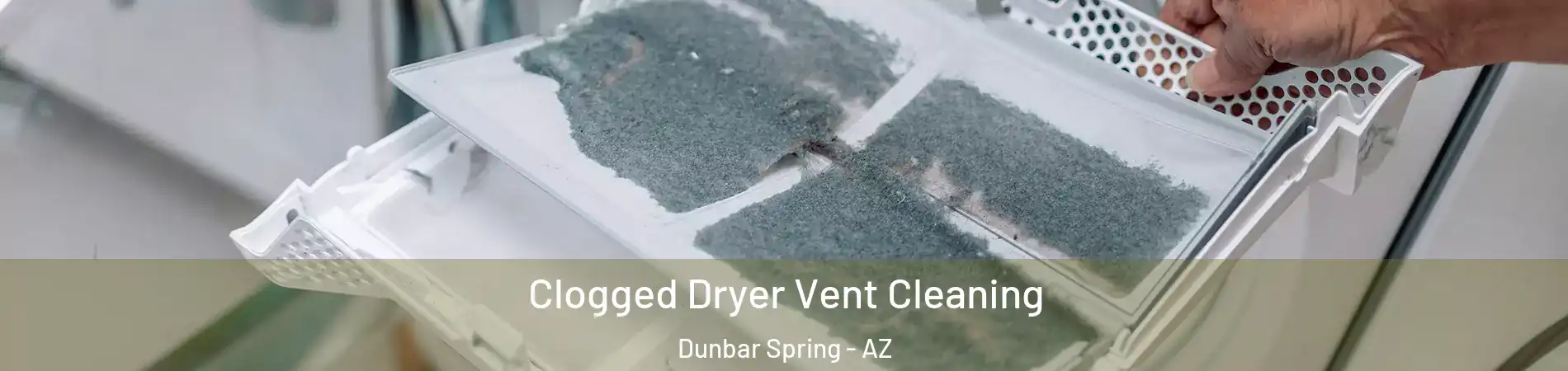 Clogged Dryer Vent Cleaning Dunbar Spring - AZ